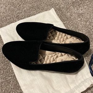 Birdies black velvet starling